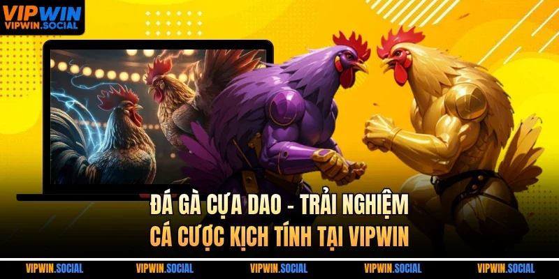 đá gà cựa dao