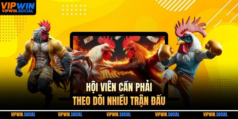 Hội viên cần phải theo dõi nhiều trận đấu