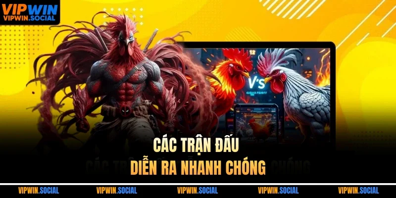 Các trận đấu diễn ra nhanh chóng