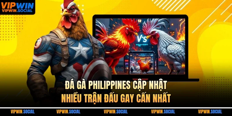 đá gà philippines