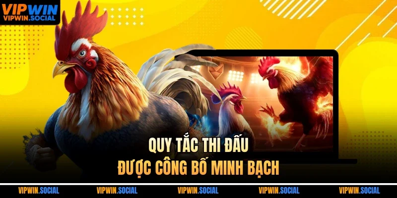 Quy tắc thi đấu được công bố minh bạch