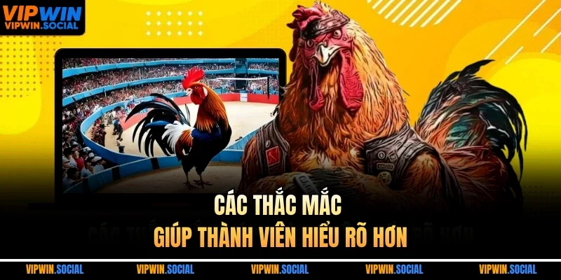Các thắc mắc giúp thành viên hiểu rõ hơn