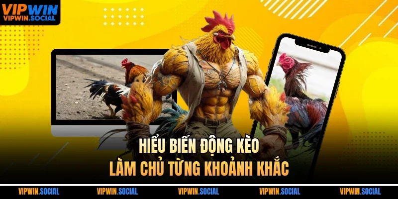 Hiểu biến động kèo, làm chủ từng khoảnh khắc