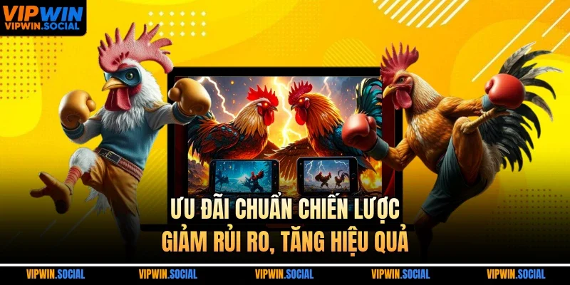 Ưu đãi chuẩn chiến lược, giảm rủi ro, tăng hiệu quả