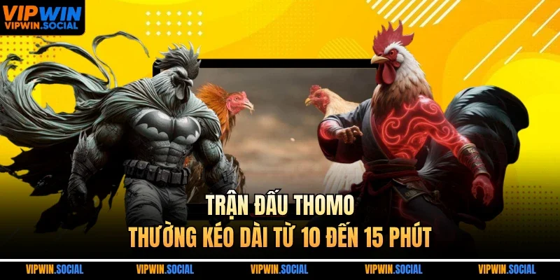 Trận đấu Thomo thường kéo dài từ 10 đến 15 phút